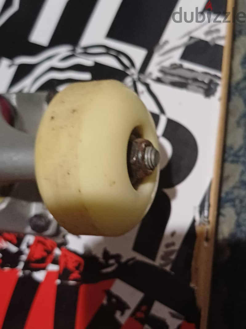 skateboard 1