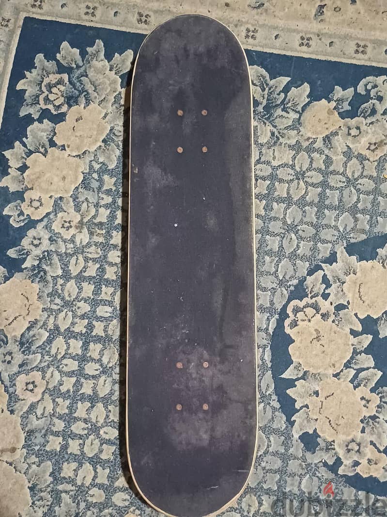 skateboard 2