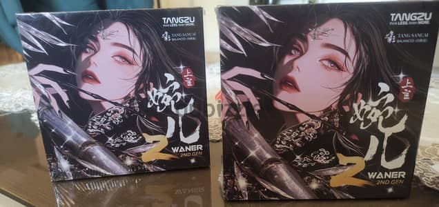 TANGZU WAN'ER SG 2 CLEAR BLACK (Type-C with mic) IEM