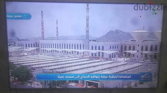 شاشة هاير ٥٠ بوصة s 80 كيوليد