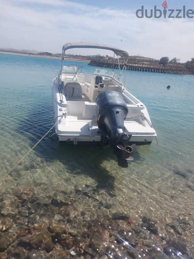 اسبيد بوت