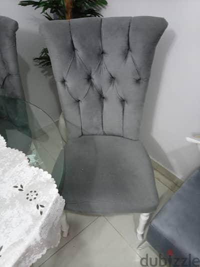 سفرة.