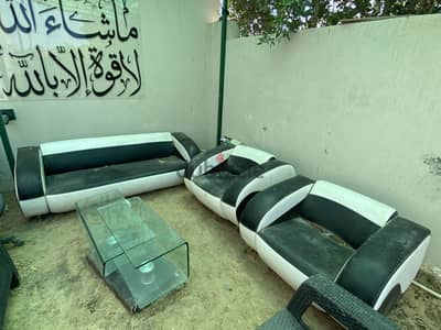 انتريه جلد