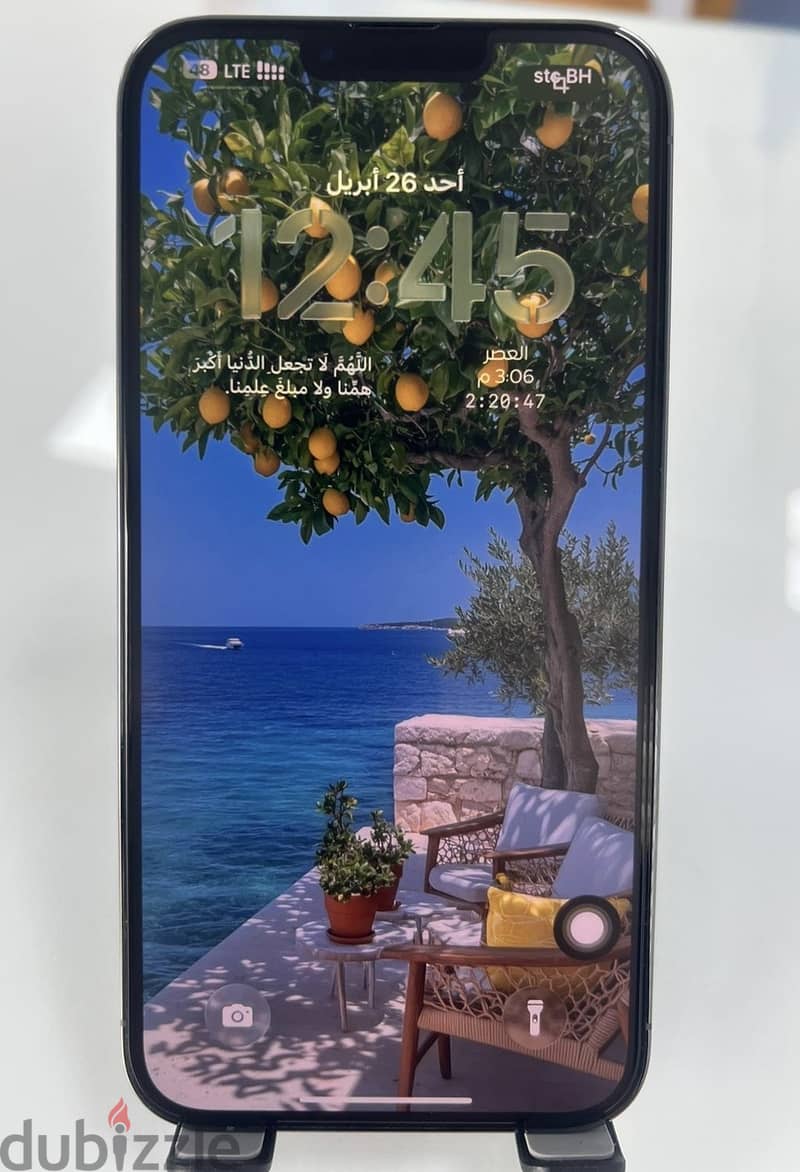 iPhone 13 Pro max 2