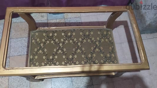تربية انترية