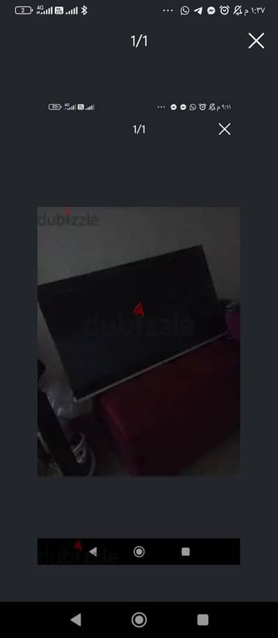الشيخ زايد