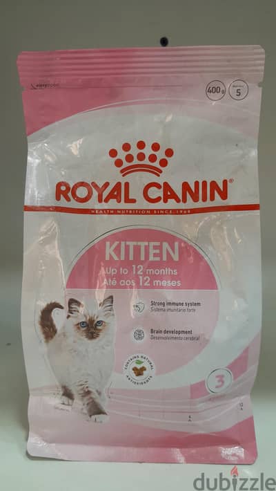 Roial CANIN kittens