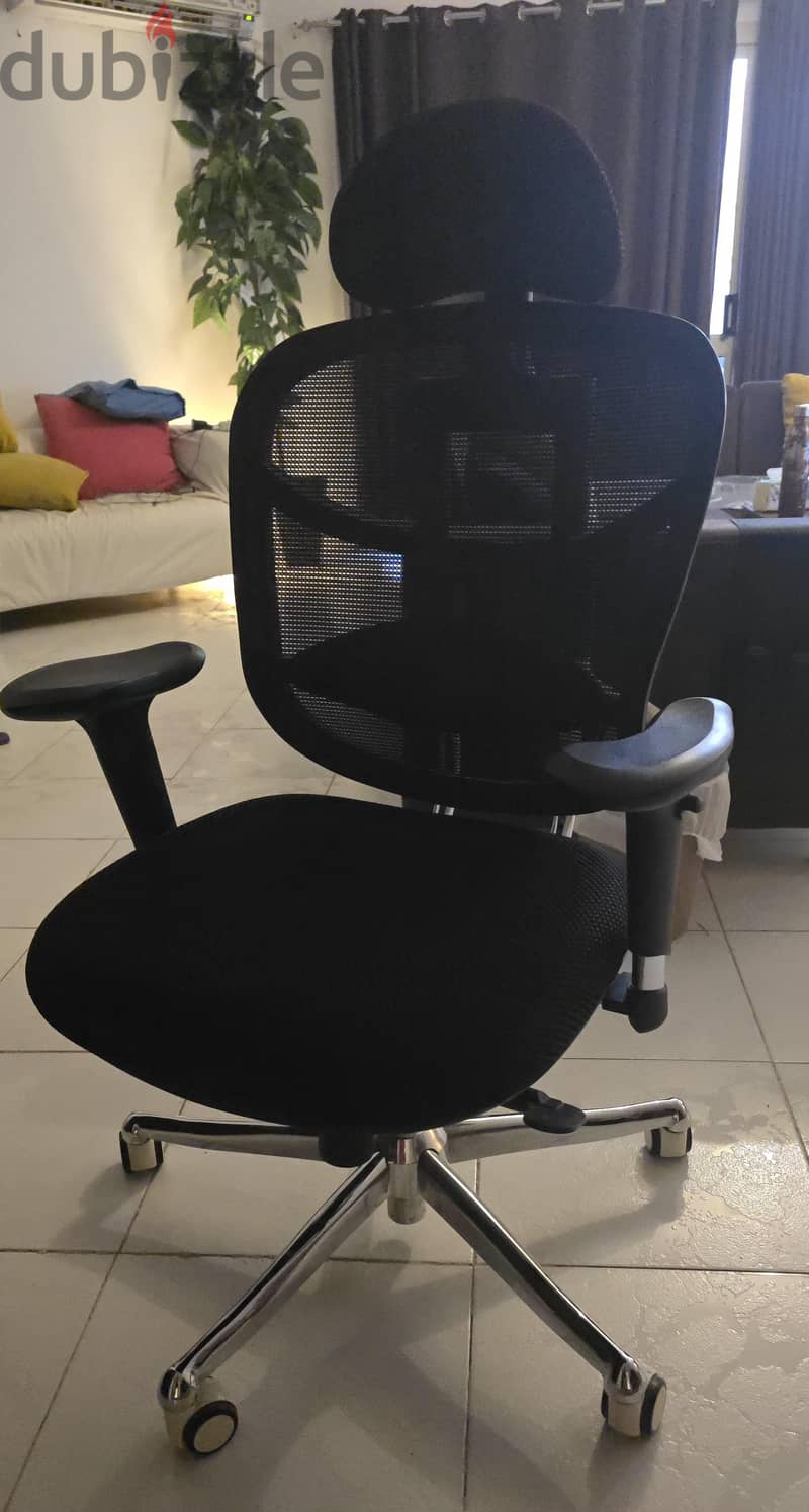 Ergonomic desk chair 2