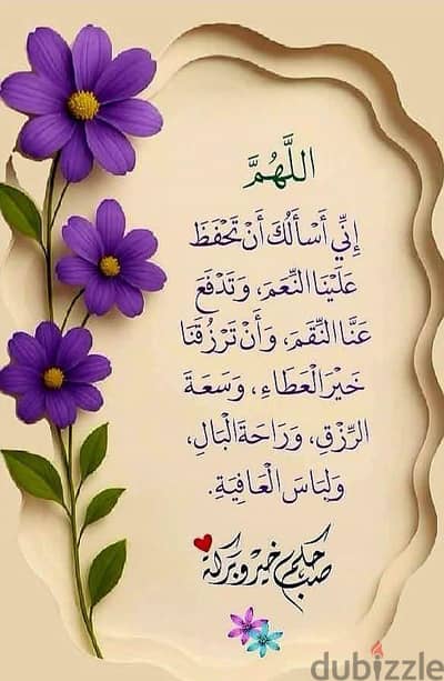 جوز  كوكتيل حبشي الحجم الكبير