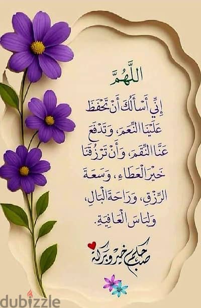 جوز كوكتيل الحجم الكبير