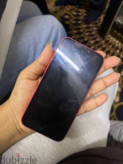 iPhone 12 mini