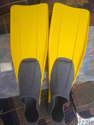 Swimming Gear