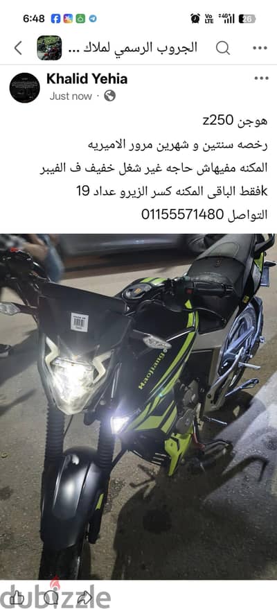 هوجن z250 2025