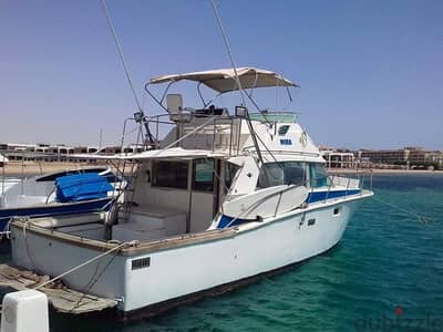 Bertram boat