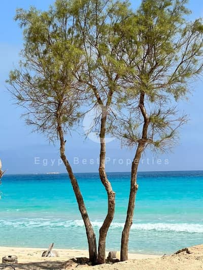 للبيع: شاليه جاهز مطل على أبراج العلمين، مع تقسيط على 12 سنة، بالقرب من نورث إيدج وعلى بعد دقائق من وسط مدينة العلمين في مازارين