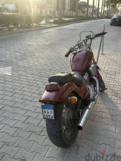 Steed