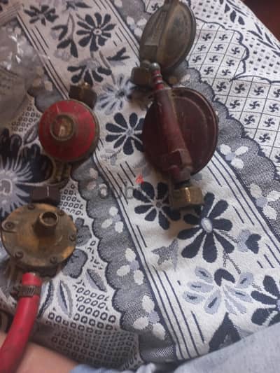 ٤ منظمات بوتجاز
