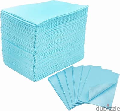 Napkin