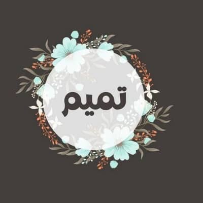 احمد 