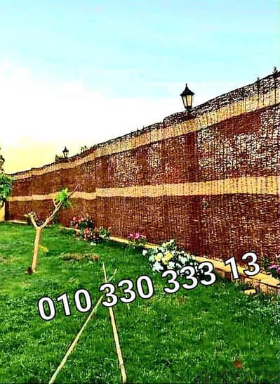 اسوار حنه