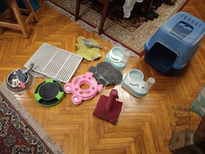 حجات للقطط