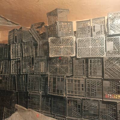 برنيك بلاستك