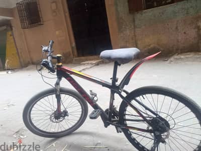 عجله اوسكار