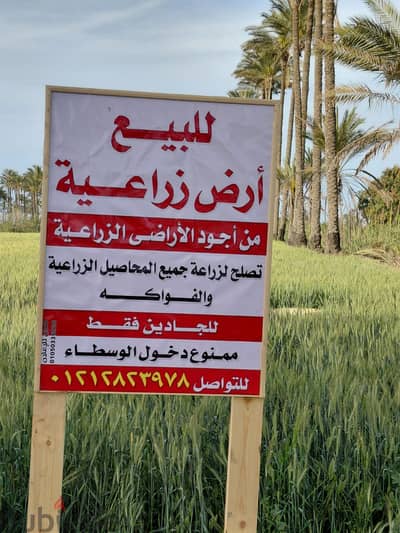 أرض زراعية للبيع فى دمياط - مركز كفر البطيخ - قرية الركابية  :
