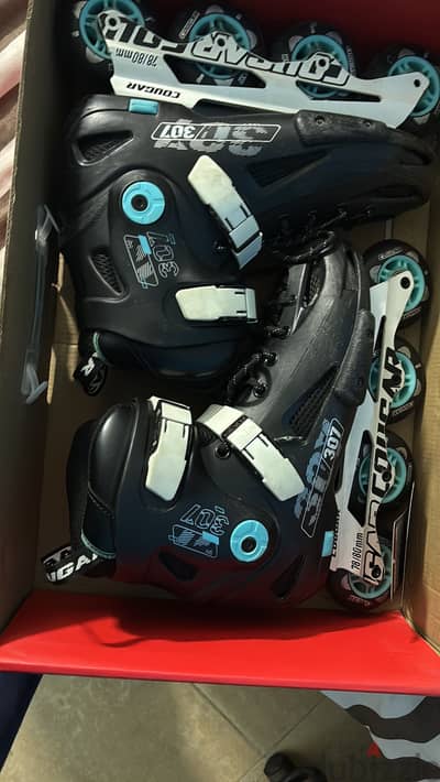 Skate cougar 307