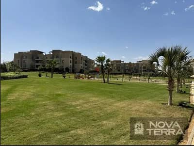 Luxury Unit in Palm Parks (Palm Hills)
