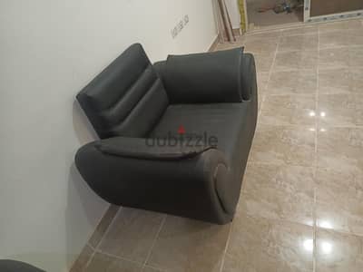 انتريه جلد