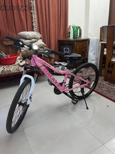 girly childrens bicycle