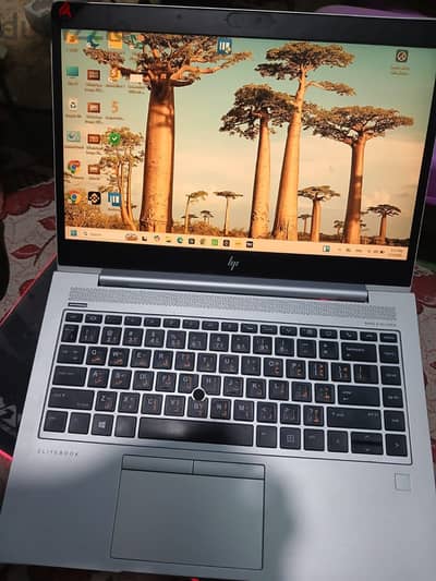 HP EliteBook 745 G5