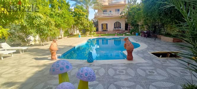 الاسكندريه ساحل الشمالي