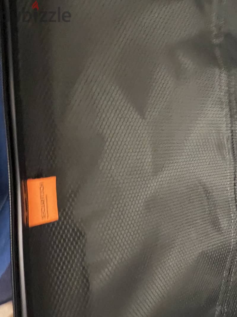 Delsey securitech 6