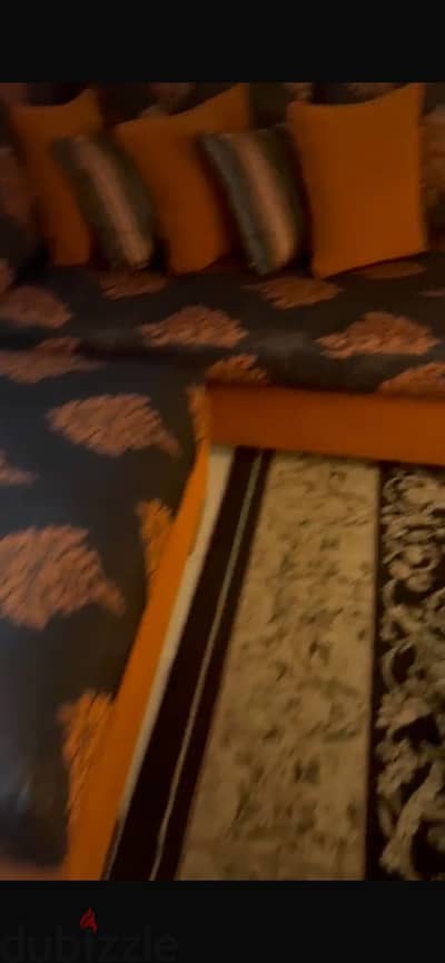 الاسكندرية فلمنج