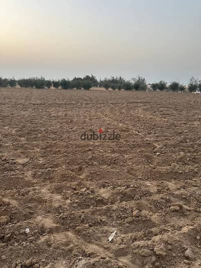 ارض زراعيه للبيع في الاسماعيليه