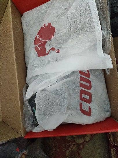 Cougar509 1