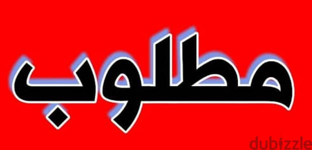 مطلوووب عصافير استرالي شباب فقط وشكرا  جزيلا