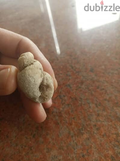 حفريات