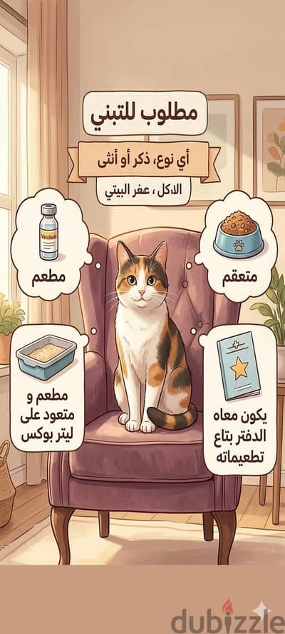 مطلوب قط أو قطه للتبني  متعقم  اي نوع