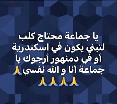 ‏اسكندرية