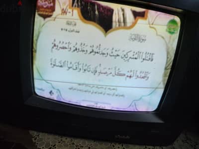 تليفزيون جولدي