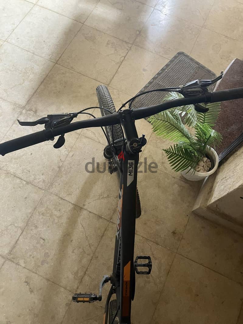 trinx m136 29 2