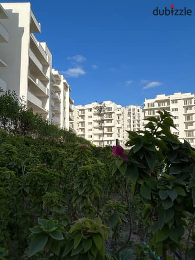 With a 10% down payment, own a ground floor apartment with a private garden for sale and installments over 12 years in Mazarin North Coast