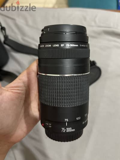 Canon EF 75-300mm f/4-5.6 III