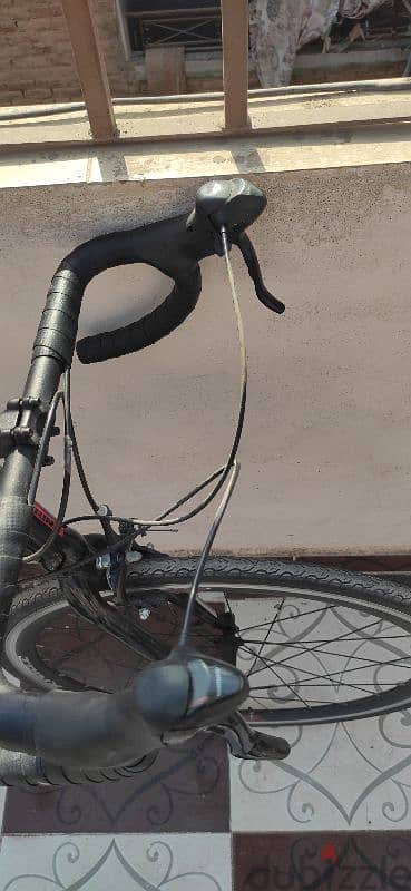 trinx climber 0.1 3
