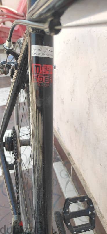 trinx climber 0.1 8