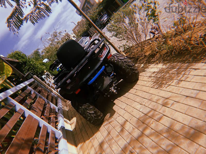 Each buggy 1