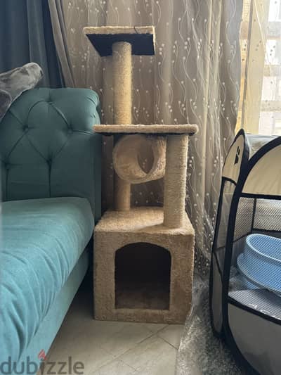 بيت قطط و سكراتشر cat house